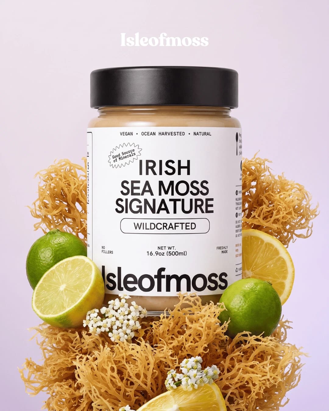 Isle of Moss wildcrafted sea moss gel jar