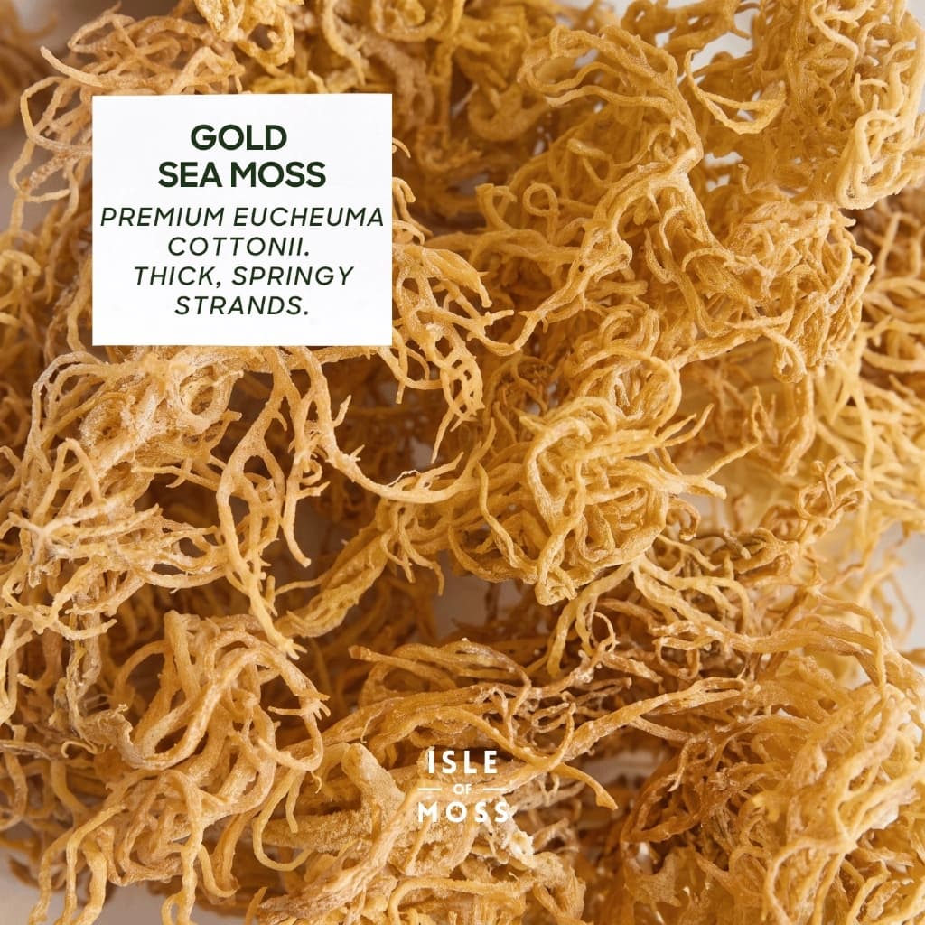 Raw Sun-Dried Sea Moss image 4