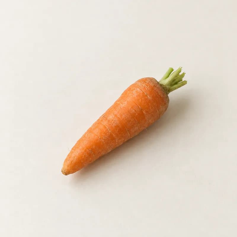 Carrot