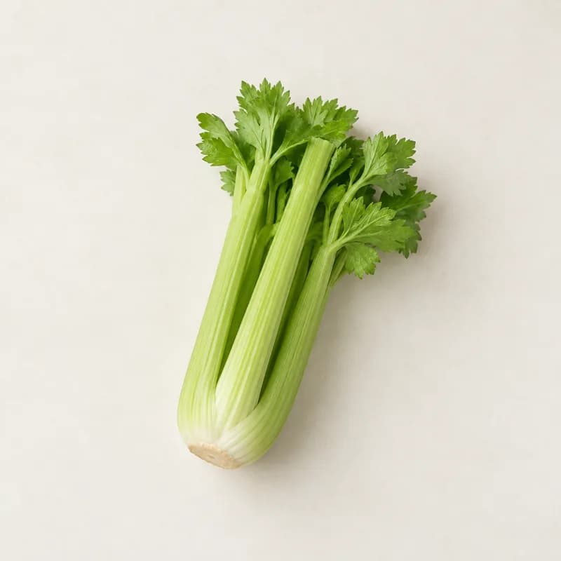 Celery