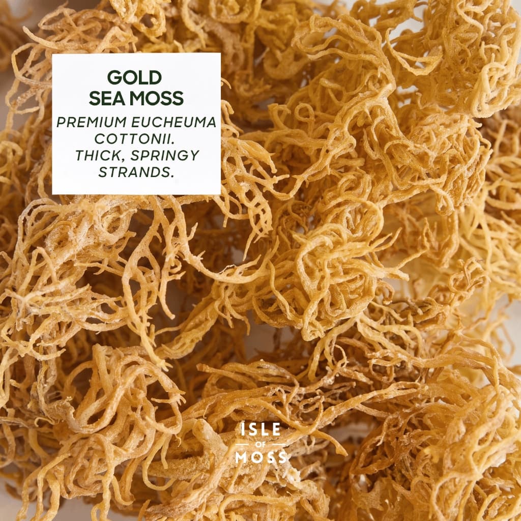 Raw Sun-Dried Sea Moss — wildcrafted sea moss gel (lumut laut)